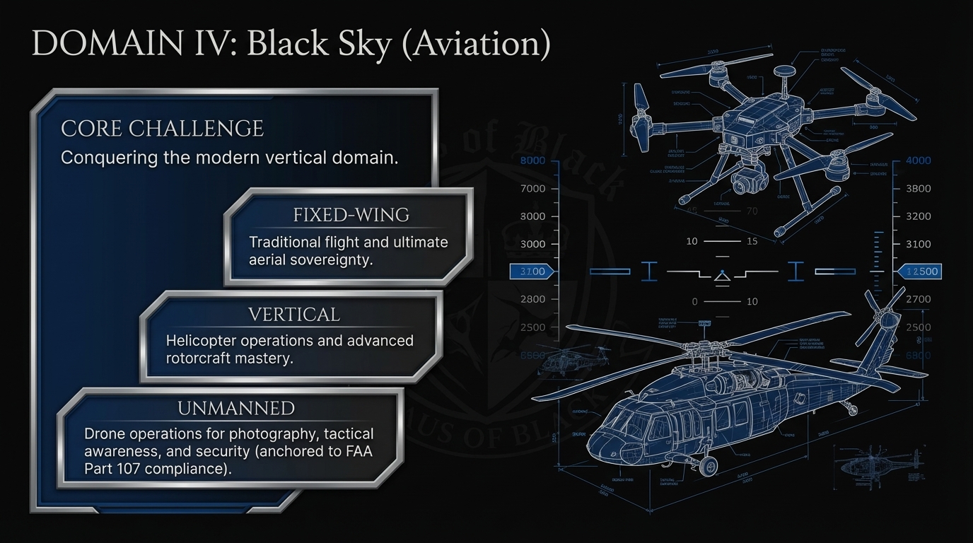 Domain IV: Black Sky