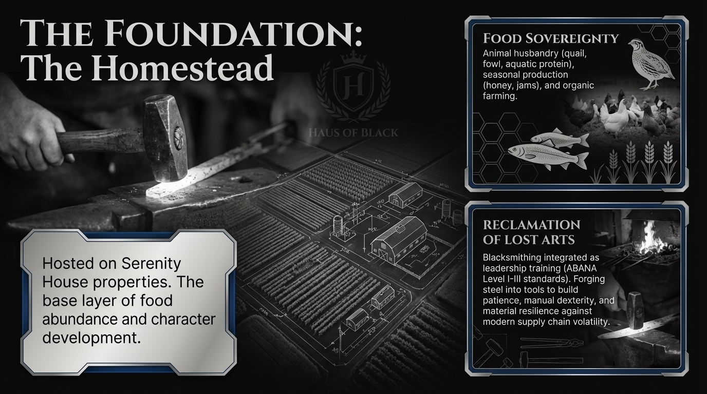 The Foundation: The Homestead